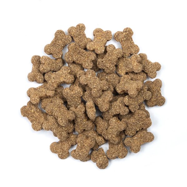 Burns - Oatie Bites Dog Treats - 200g Hot on Sale