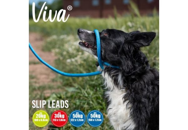 Ancol - Viva Nylon Reflective Rope Slip Lead - Blue - 120cm x 12mm (Max50kg) Fashion