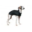 Ancol - Whippet & Greyhound Coat - Black - 53cm For Cheap