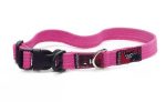 Black Dog Wear Standard Collar Medium Online Sale