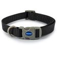 Ancol - Viva Nylon Adjustable Collar - Black - Medium (30-50cm) Cheap