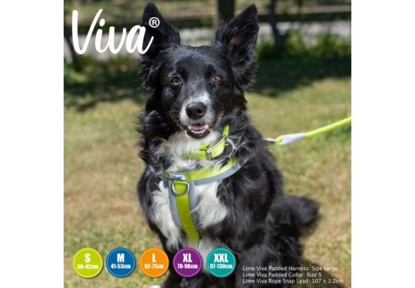 Ancol - Viva Nylon Padded Harness - Lime - XLarge (70-98cm) Hot on Sale