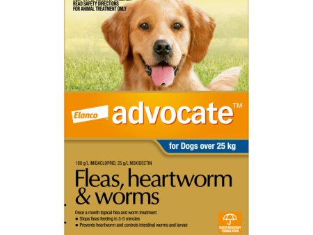 Advocate for Dogs Over 25kg 6 Months For Cheap