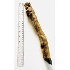 Anco - Roe Deer Leg Hairy Sale