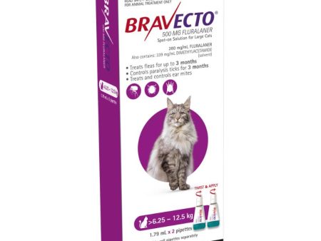 6 Month Bravecto Spot On for Large Cats FREE GIFT WITH PURCHASE!* Discount