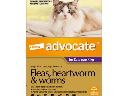 Advocate for Cats Over 4kg 6 Months Hot on Sale