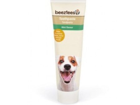 Beeztees - Toothpaste Dog Mint Flavour - 100g For Discount