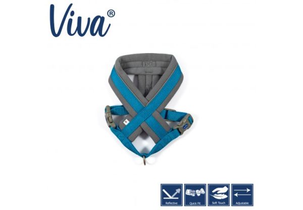 Ancol - Viva Nylon Padded Harness - Cyan - Large (52-71cm) Online now