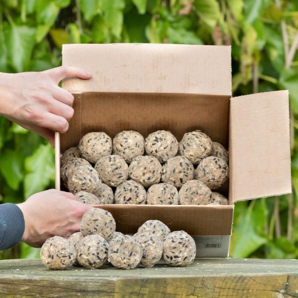 Everyday Tweets - Unnetted Fat Balls - 40 Box (3.4kg) Online Sale