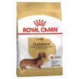 Royal Canin Dachshund Adult Sale