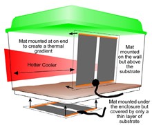 Komodo - Advanced Heat Mat-  3watt - 96x146mm For Discount