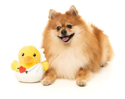 FuzzYard Cupid Duck - Dog Toy Online Hot Sale