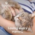 Applaws - Cat Can Chicken & Pumpkin - 156g Cheap