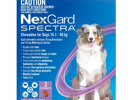 Nexgard Spectra Chews for Dog 15.1-30kg Purple Online Hot Sale