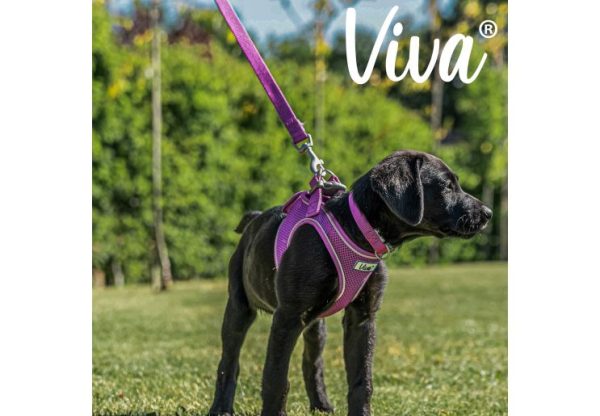 Ancol - Viva Nylon Padded Snap Lead - Purple - 100cm x 12mm (Max 20kg) Online Sale