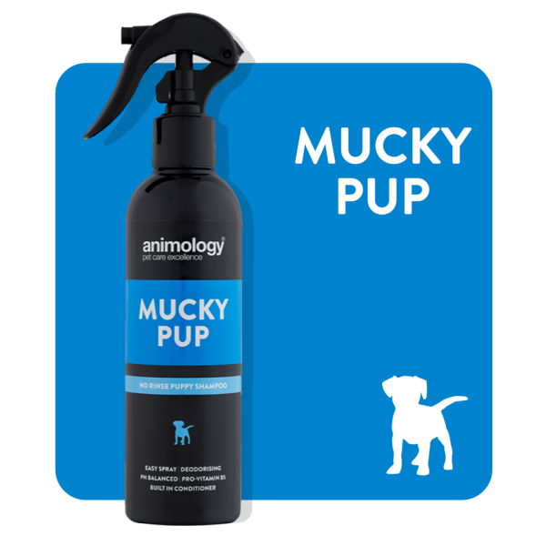 Animology - Mucky Pup Shampoo - 250ml on Sale