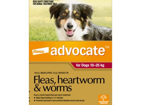 Advocate for Dogs 10-25kg 6 Months Online now