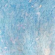 Animal Dreams - Shredded Coloured Cloth - Standard Supply