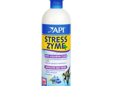 API - STRESS ZYME - 237ML For Discount