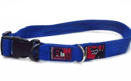 Black Dog Wear Standard Collar Large For Cheap