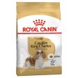 Royal Canin Cavalier King Charles Adult Fashion