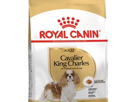 Royal Canin Cavalier King Charles Adult Fashion