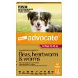 Advocate for Dogs 10-25kg 3 Months Online now