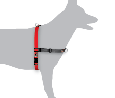 Black Dog Wear Balance Harness Large Fashion