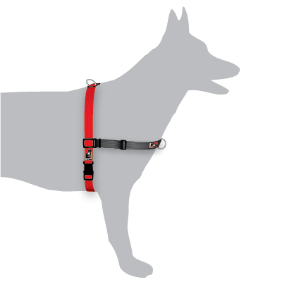 Black Dog Wear Balance Harness Large Fashion