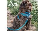 Ancol - Viva Nylon Padded Snap Lead - Blue - 100cm x 12mm (Max 20kg) Online Hot Sale