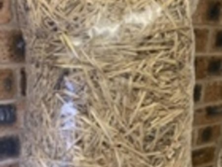 Bedding Barley Straw for small animals - Polybag For Sale