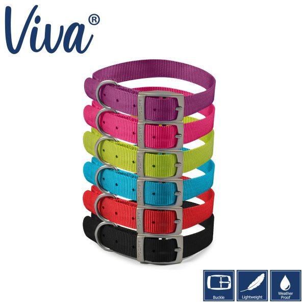 Ancol - Viva Nylon Buckle Collar - Black - Size 4 (35-43cm) For Discount