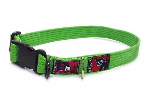 Black Dog Wear Standard Collar Large For Cheap