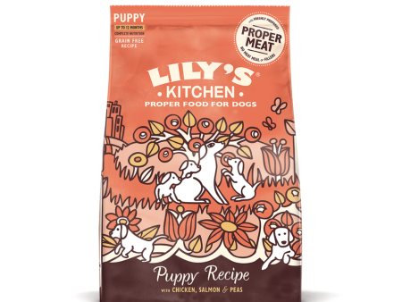 Lily s Kitchen Puppy Recipe 1KG Hot on Sale