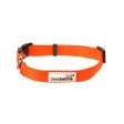 Doodlebone - Originals Collar - Tangerine - 3-6 For Cheap