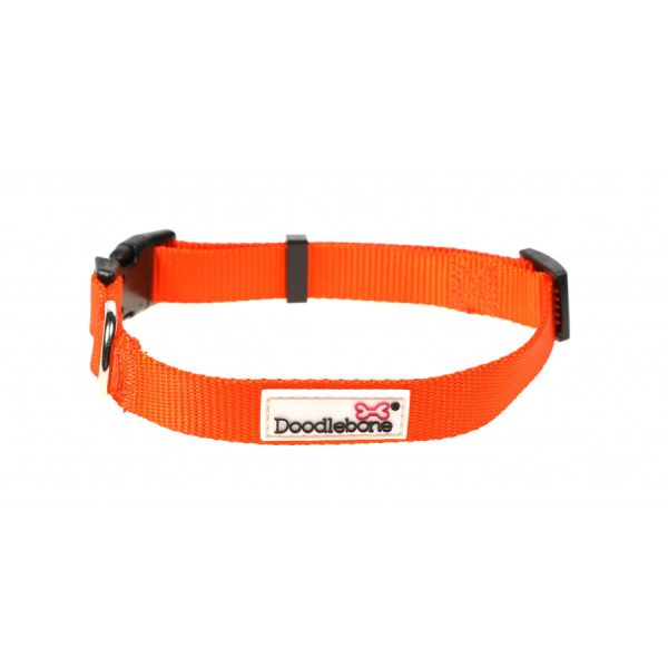 Doodlebone - Originals Collar - Tangerine - 3-6 For Cheap