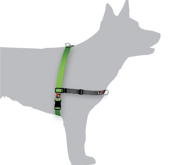 Black Dog Wear Balance Harness Medium For Sale