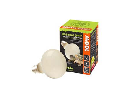 Komodo - Basking Spot - BC Bulb - 100w Online Sale