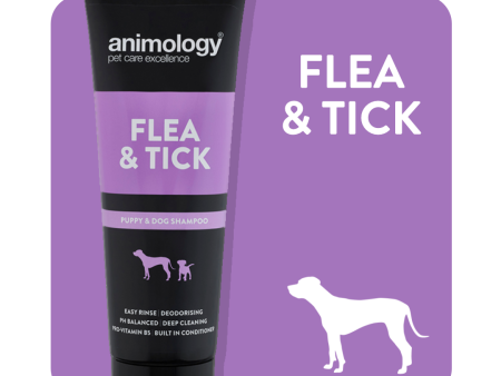 Animology - Flea & Tick Shampoo - 250ml Online