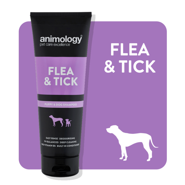 Animology - Flea & Tick Shampoo - 250ml Online