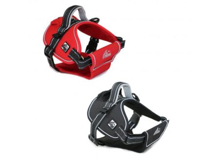 Ancol - Extreme Harness - Red - Medium Online