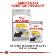 Royal Canin Dermacomfort Loaf Pouches For Discount