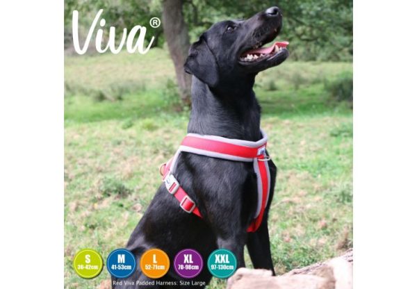 Ancol - Viva Nylon Padded Harness - Red - Small (36-42cm) Online Sale