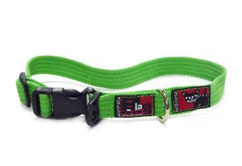 Black Dog Wear Standard Collar Medium Online Sale