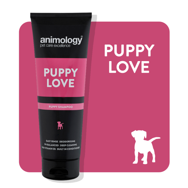 Animology - Puppy Love Shampoo - 250ml For Cheap