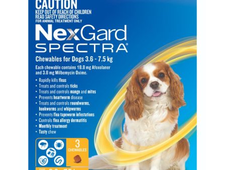 Nexgard Spectra Chews for Dog 3.6-7.5kg Yellow Cheap