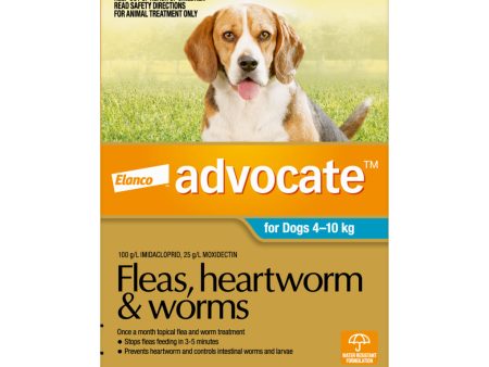 Advocate for Dogs 4-10kg 6 Months Sale