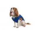 Ancol - Cooling Dog Vest - Blue - Medium on Sale