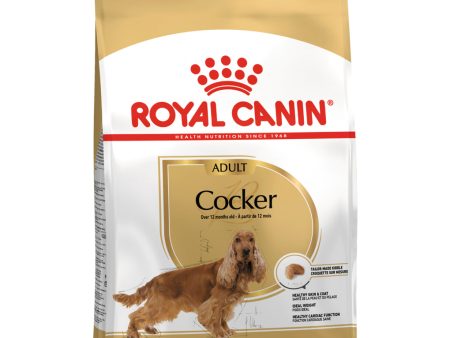 Royal Canin Cocker Spaniel Adult Online now