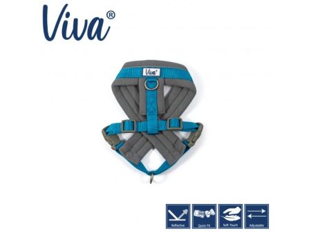 Ancol - Viva Nylon Padded Harness - Cyan - Large (52-71cm) Online now